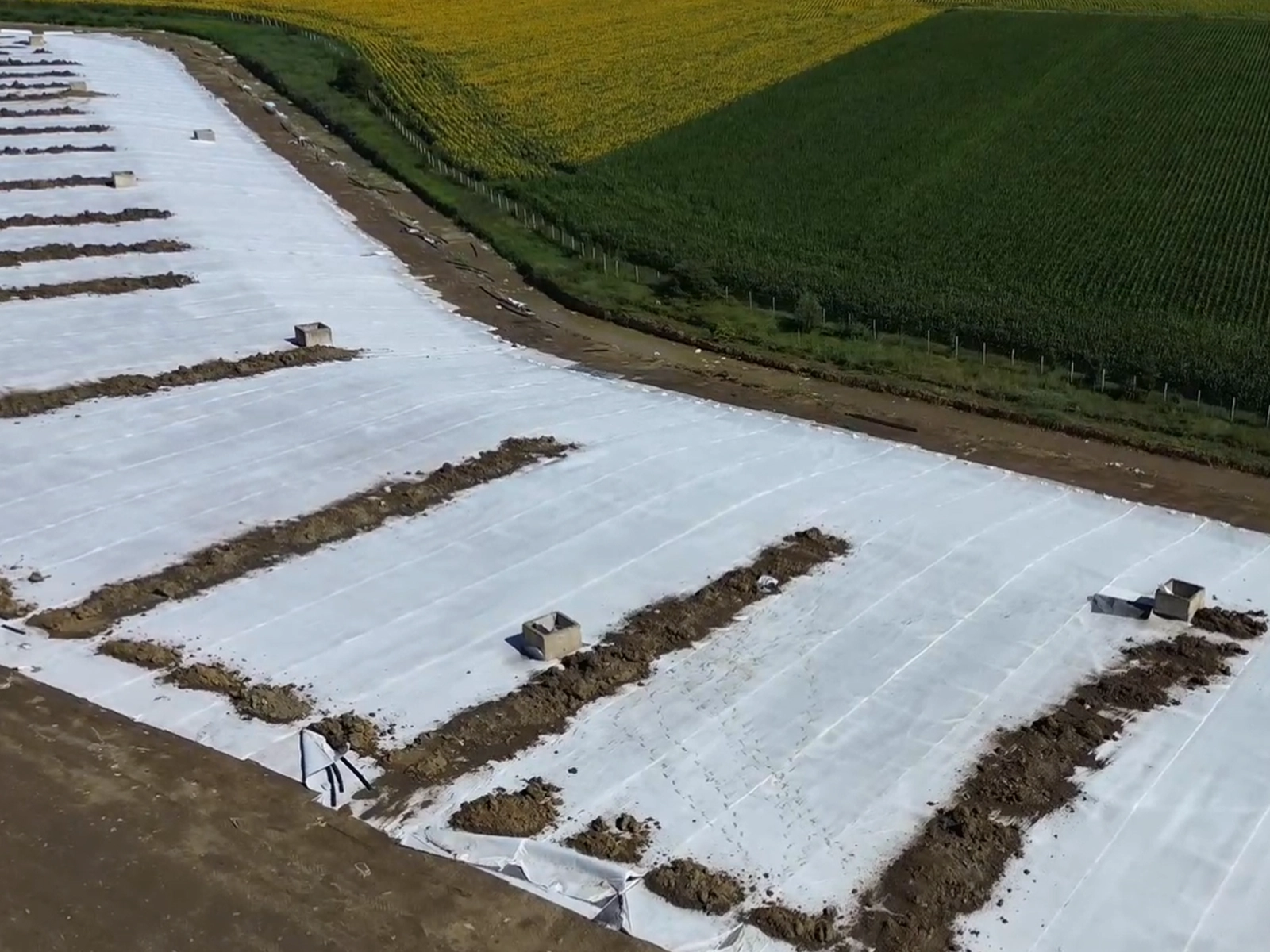 Inoveco proiect geosintetice Satu Mare