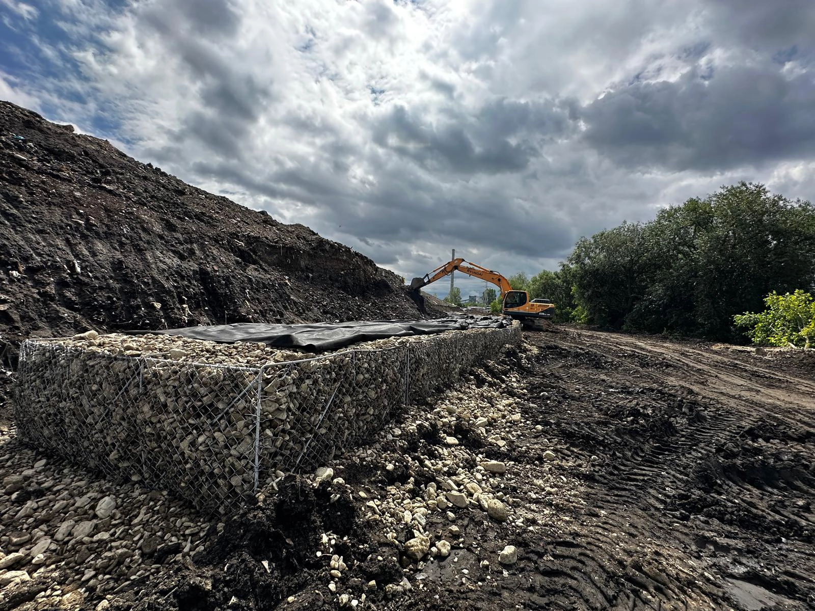 Proiect Brasov Timis Triaj